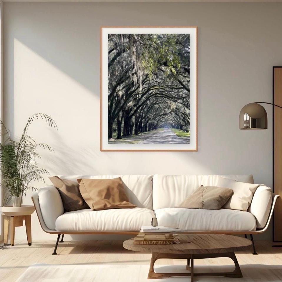 Savannah Georgia Photography Print: Wormsloe Plantation Oak Trees Spanish Moss