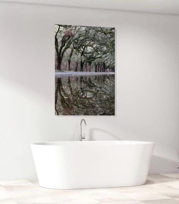 Savannah Georgia Oak Tree Lined Road Wormsloe Plantation Reflection Photography Print Unmatted