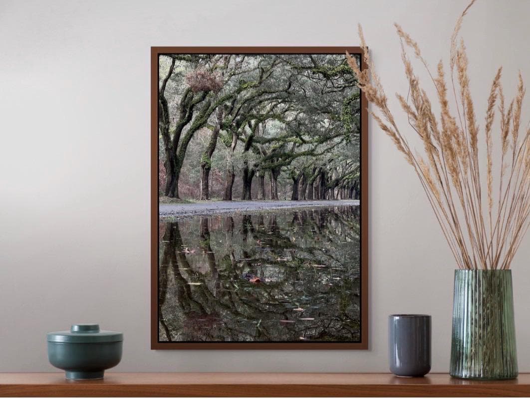 Savannah Georgia Oak Tree Lined Road Wormsloe Plantation Reflection Photography Print Unmatted