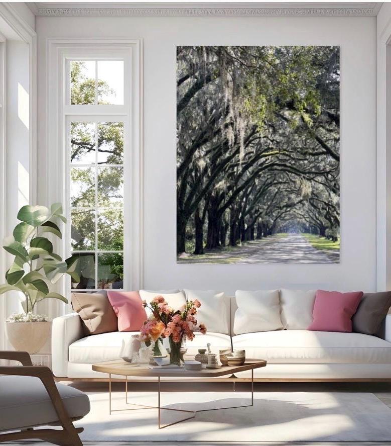 Savannah Georgia Photography Print: Wormsloe Plantation Oak Trees Spanish Moss
