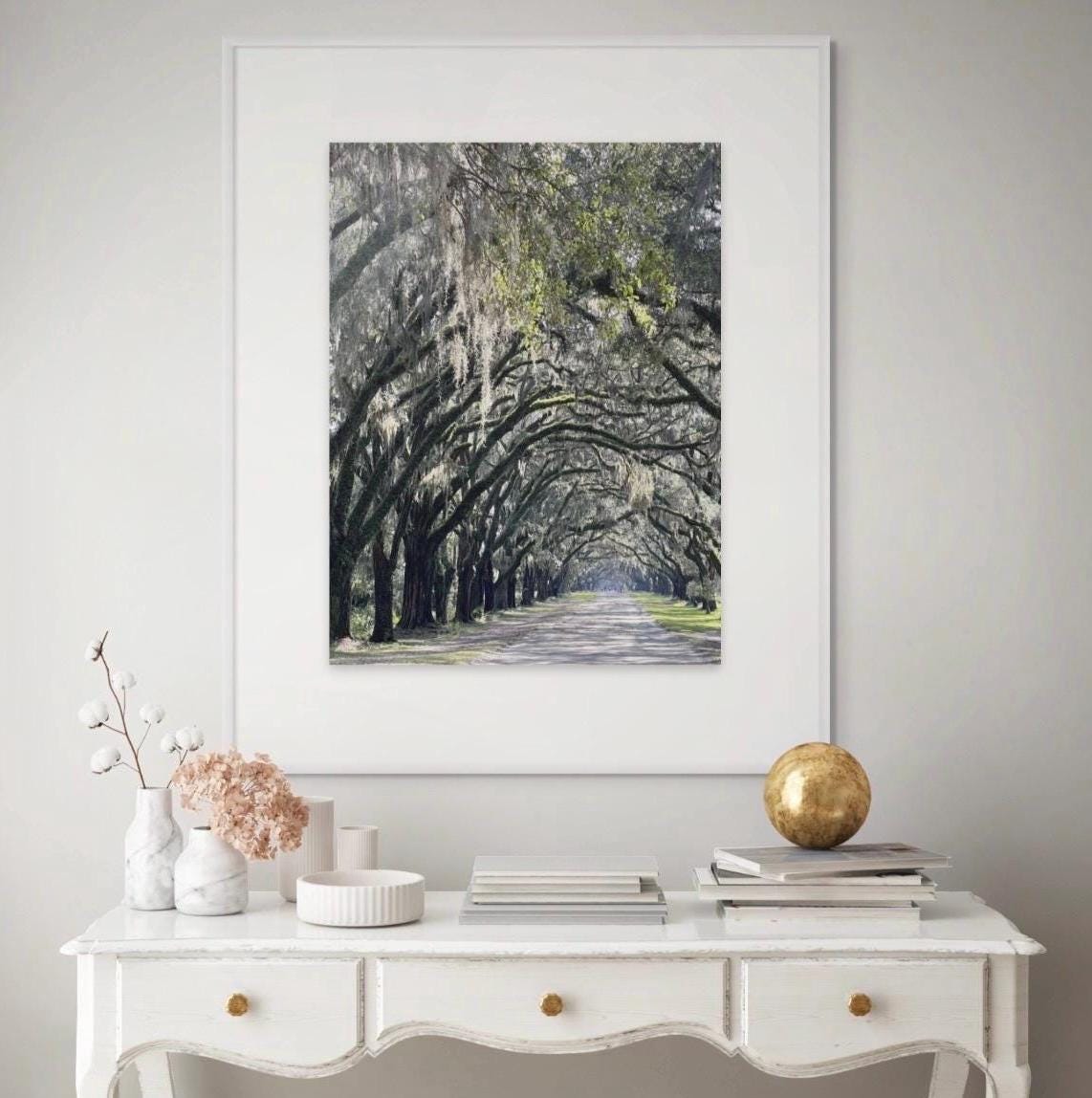 Savannah Georgia Photography Print: Wormsloe Plantation Oak Trees Spanish Moss