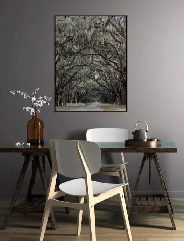 Savannah Georgia Oak Tree Lined Road Wormsloe Plantation Photography Print Unmatted