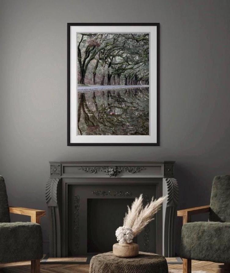 Savannah Georgia Oak Tree Lined Road Wormsloe Plantation Reflection Photography Print Unmatted
